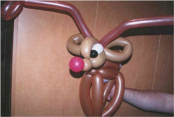 reindeer